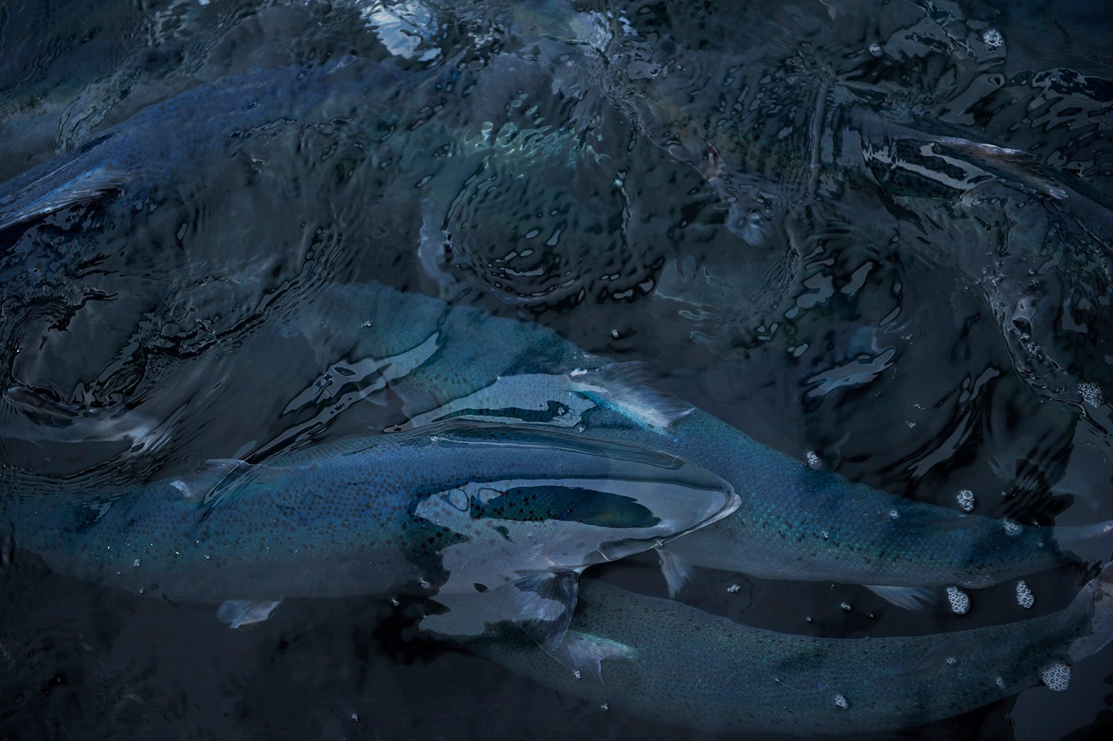 Beslutningsstøtte – Createview